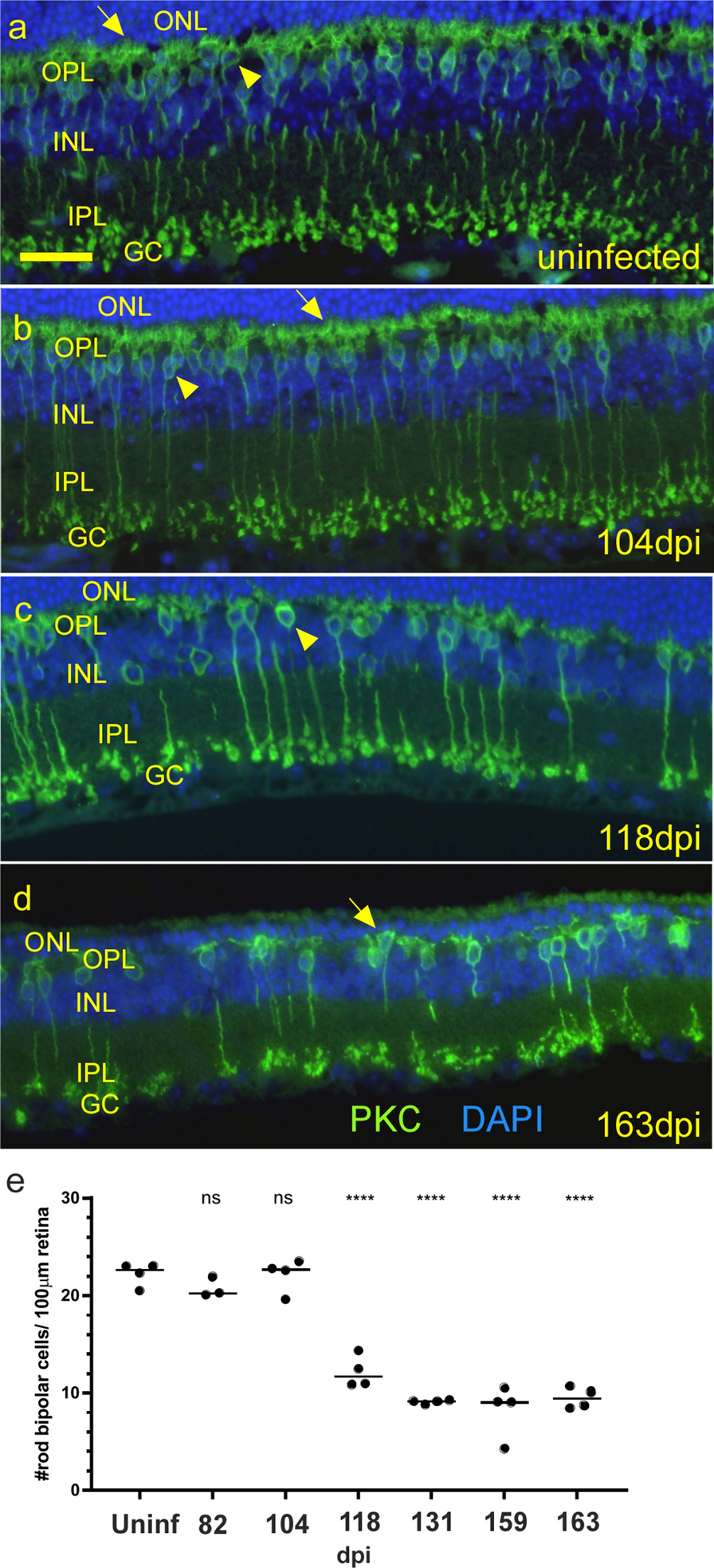 Fig. 10