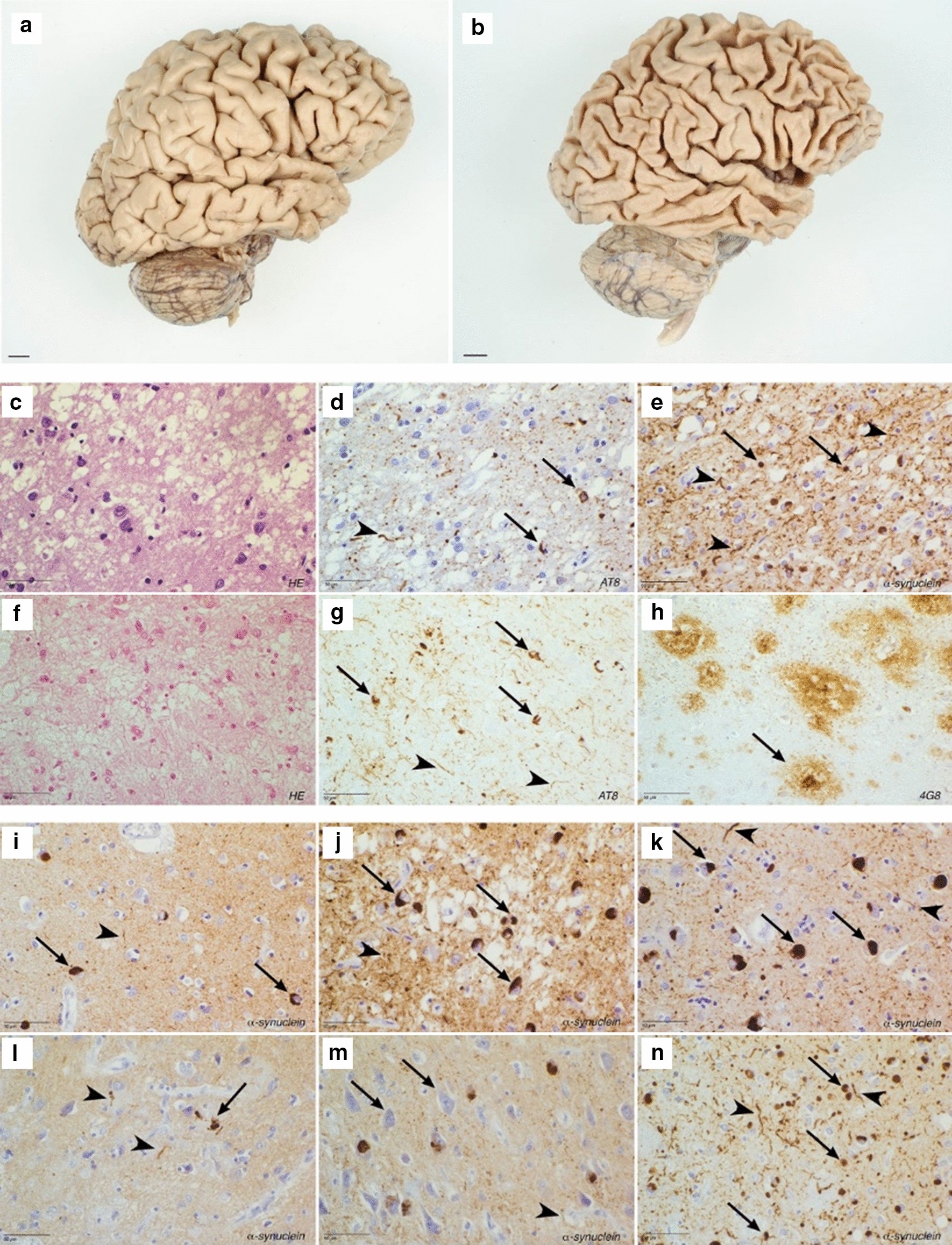 Fig. 4