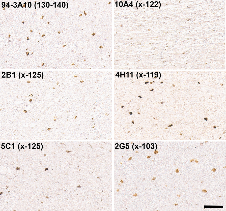 Fig. 10