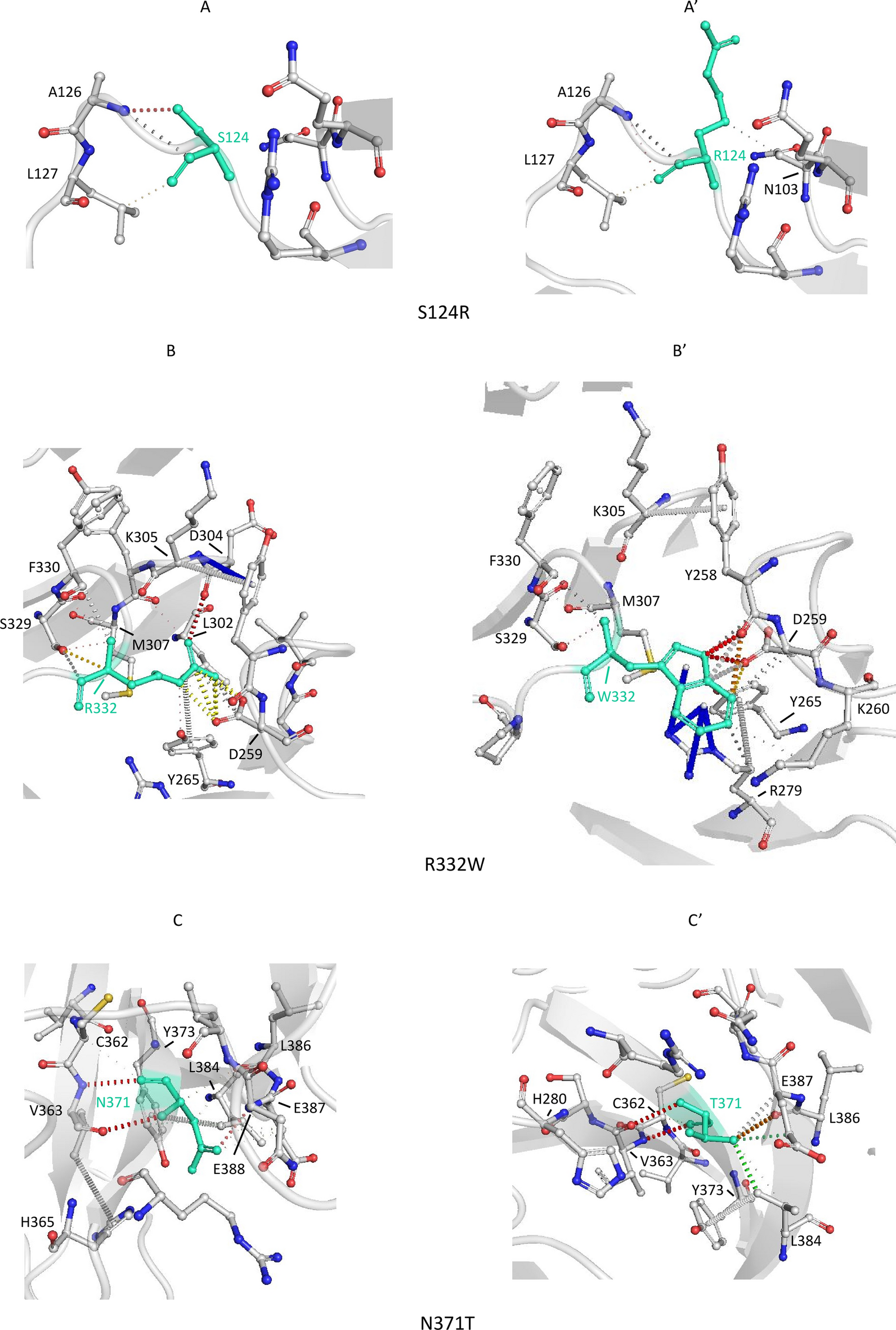 Fig. 10