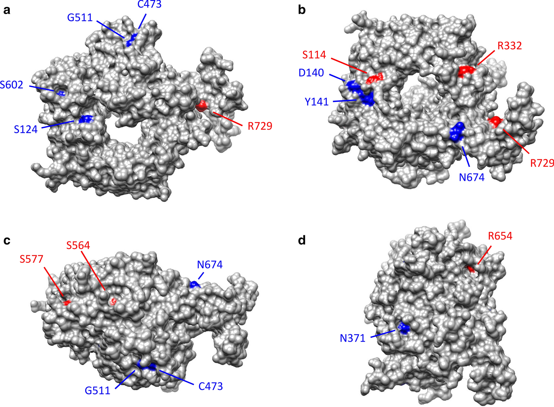 Fig. 9