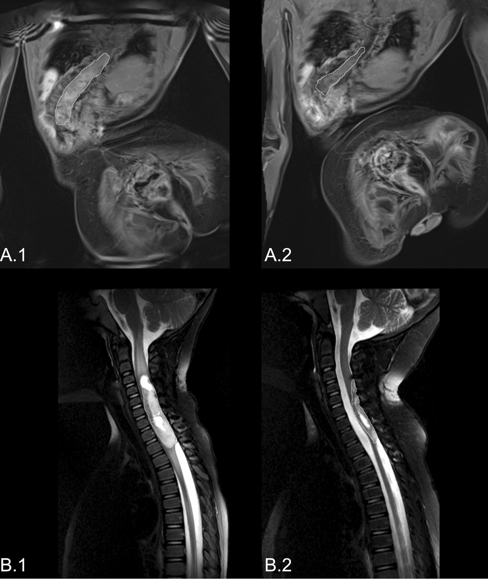 Fig. 5