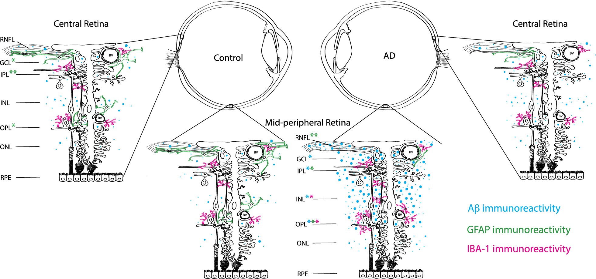 Fig. 13