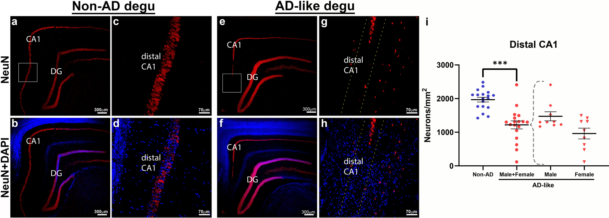 Fig. 12