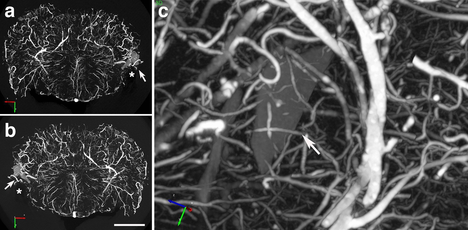 Fig. 13