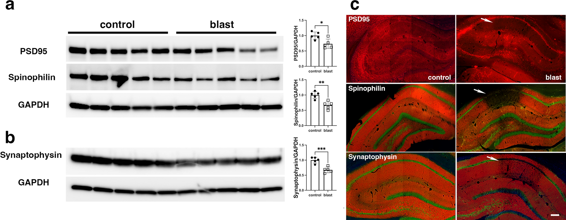 Fig. 14