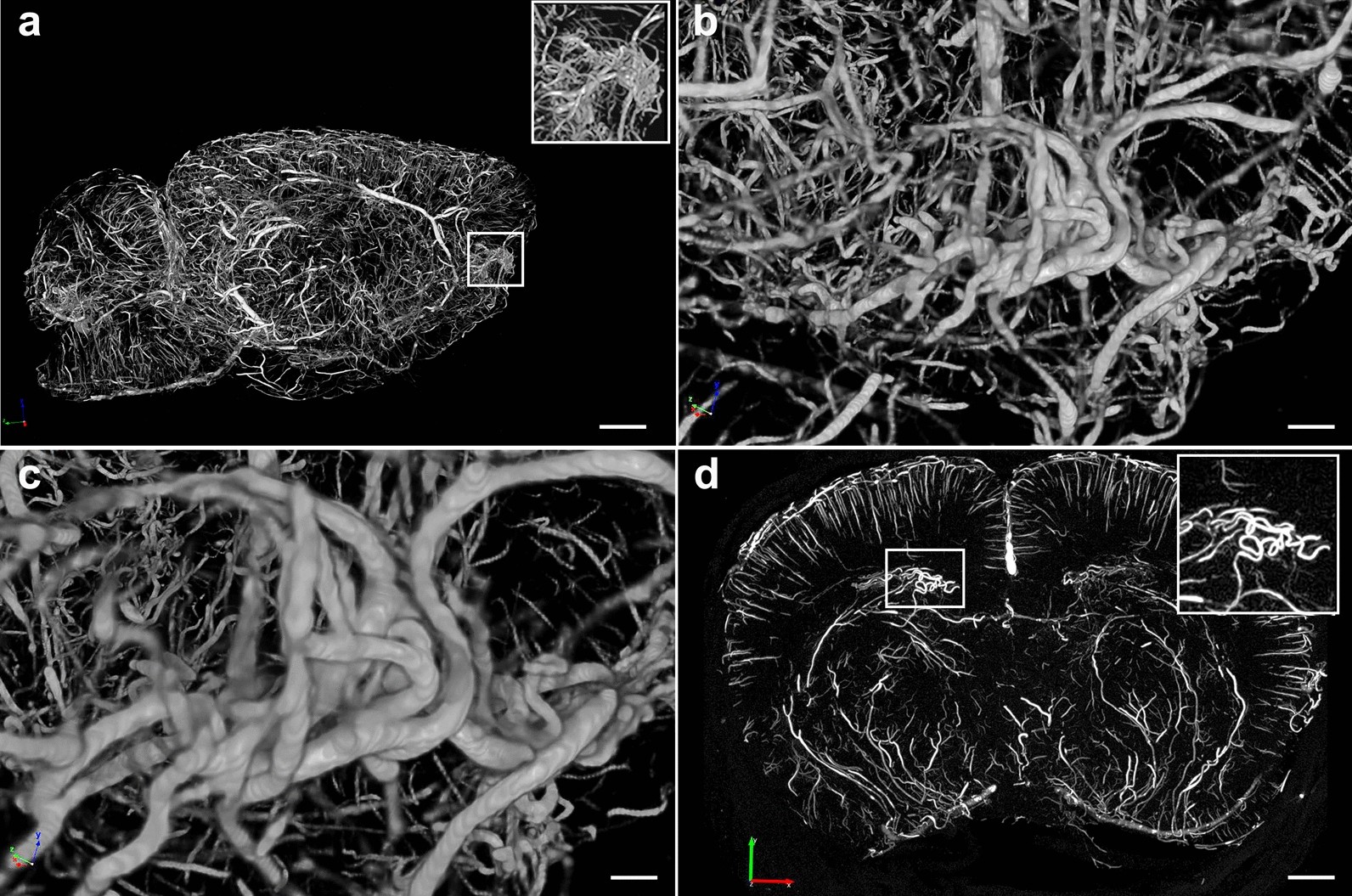 Fig. 19