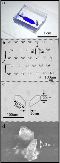 Fig. 2