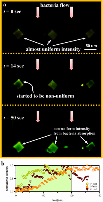 Fig. 5