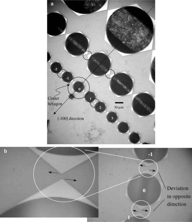 Fig. 21