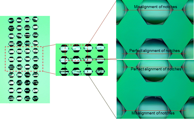 Fig. 24