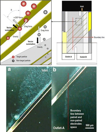 Fig. 10