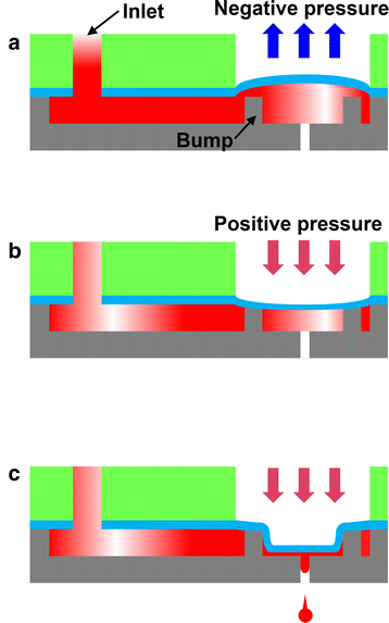 Fig. 2