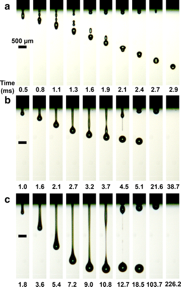 Fig. 5