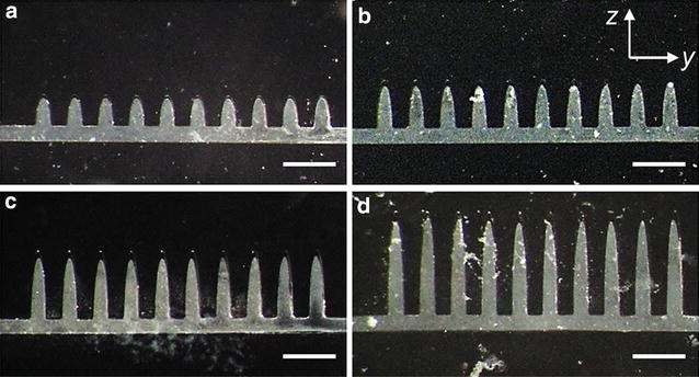 Fig. 2