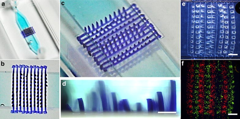 Fig. 3