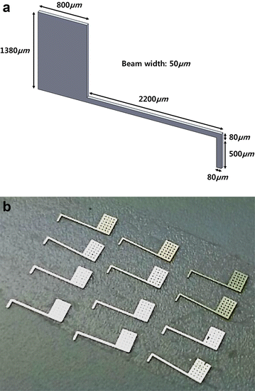 Fig. 1