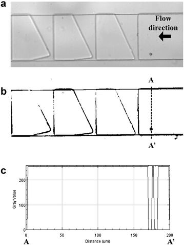 Fig. 2