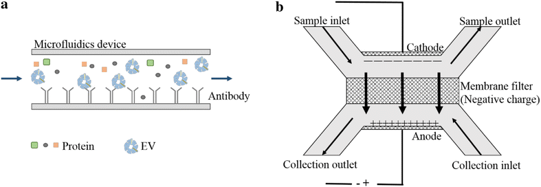 Fig. 7