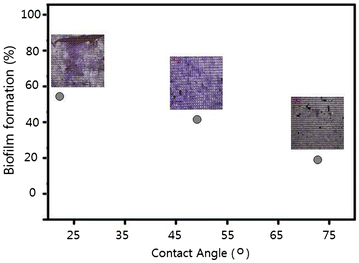 Fig. 6