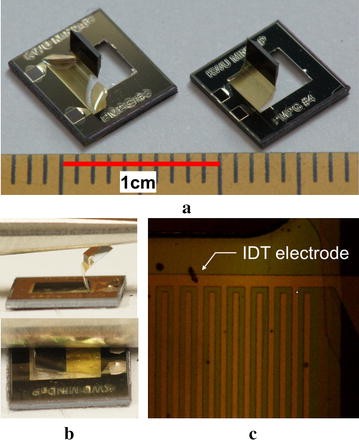 Fig. 4