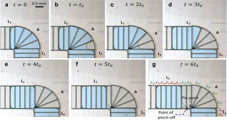 Fig. 2