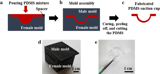 Fig. 1