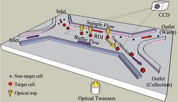 Fig. 8