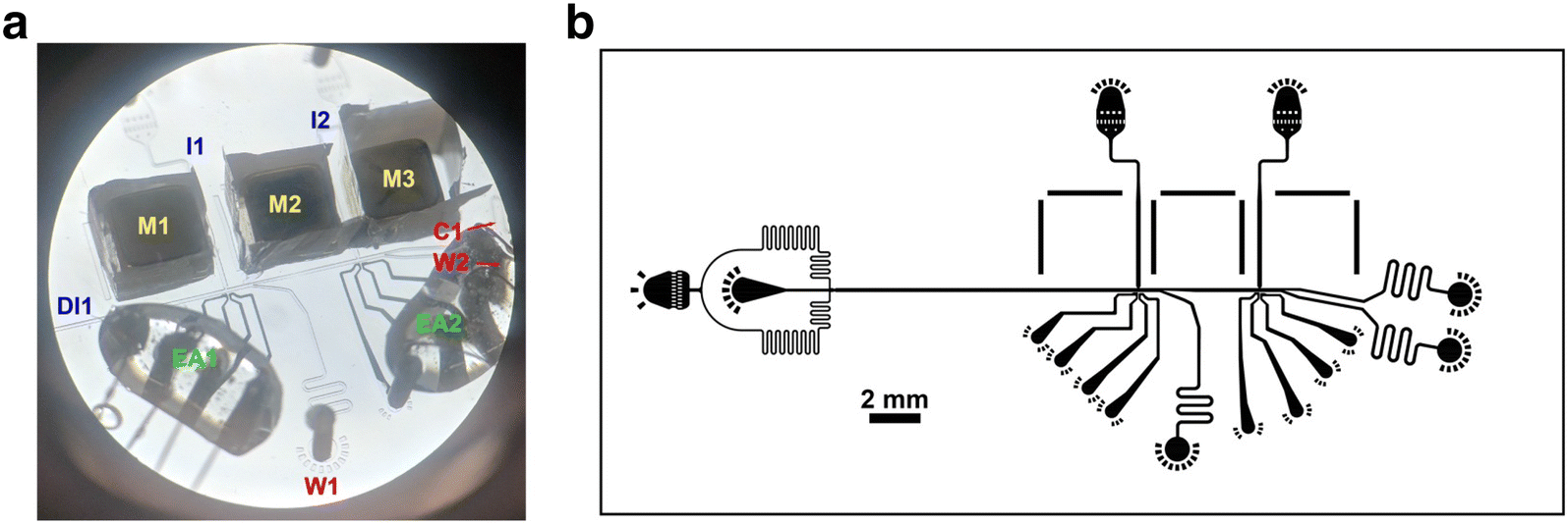 Fig. 2