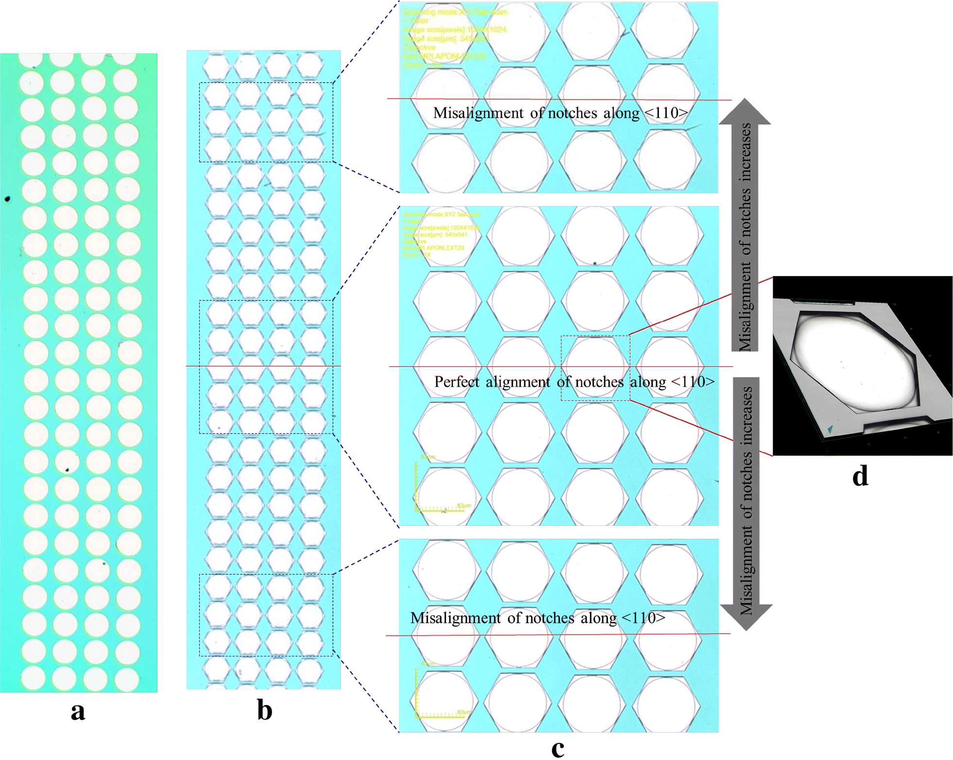 Fig. 5