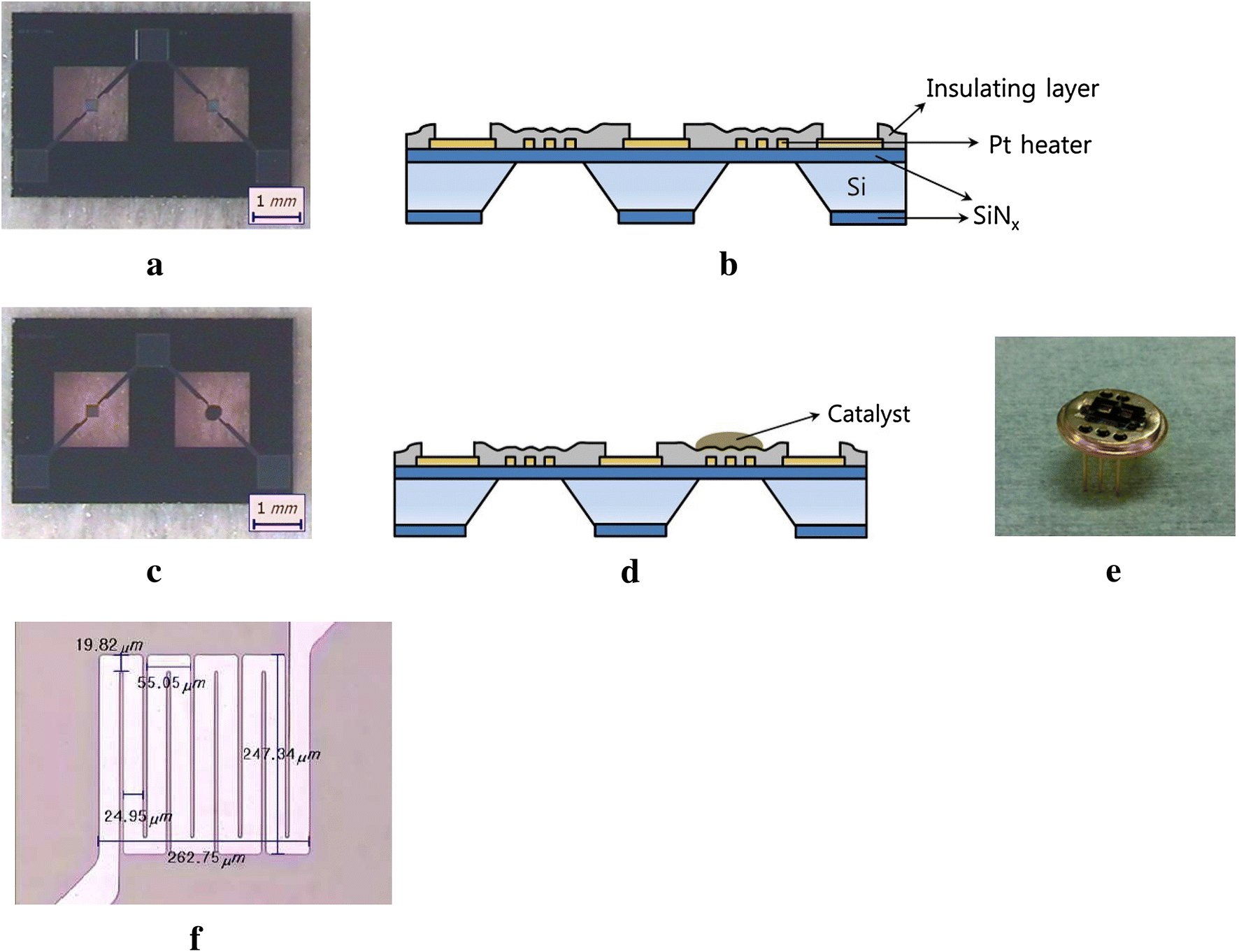 Fig. 1