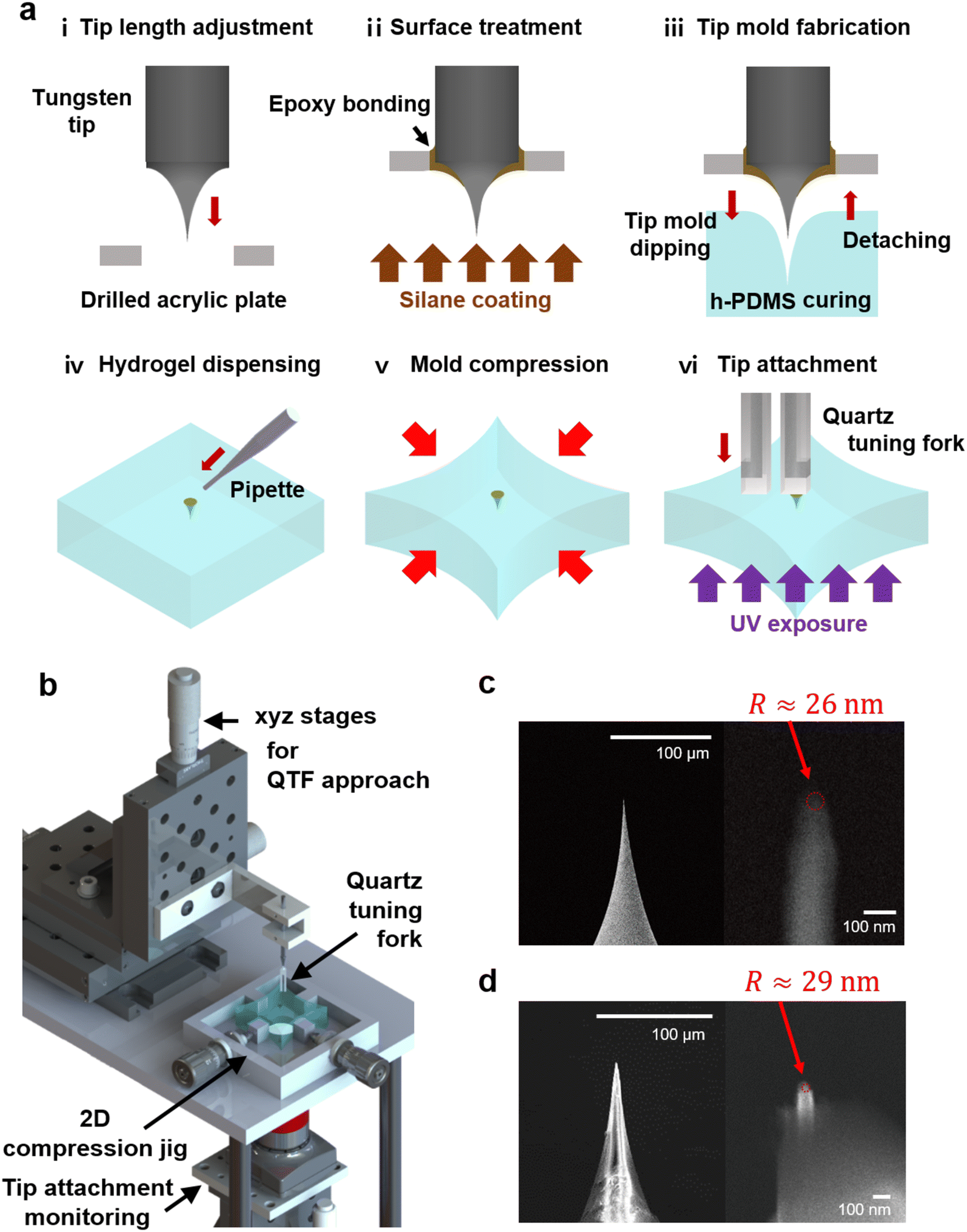 Fig. 2