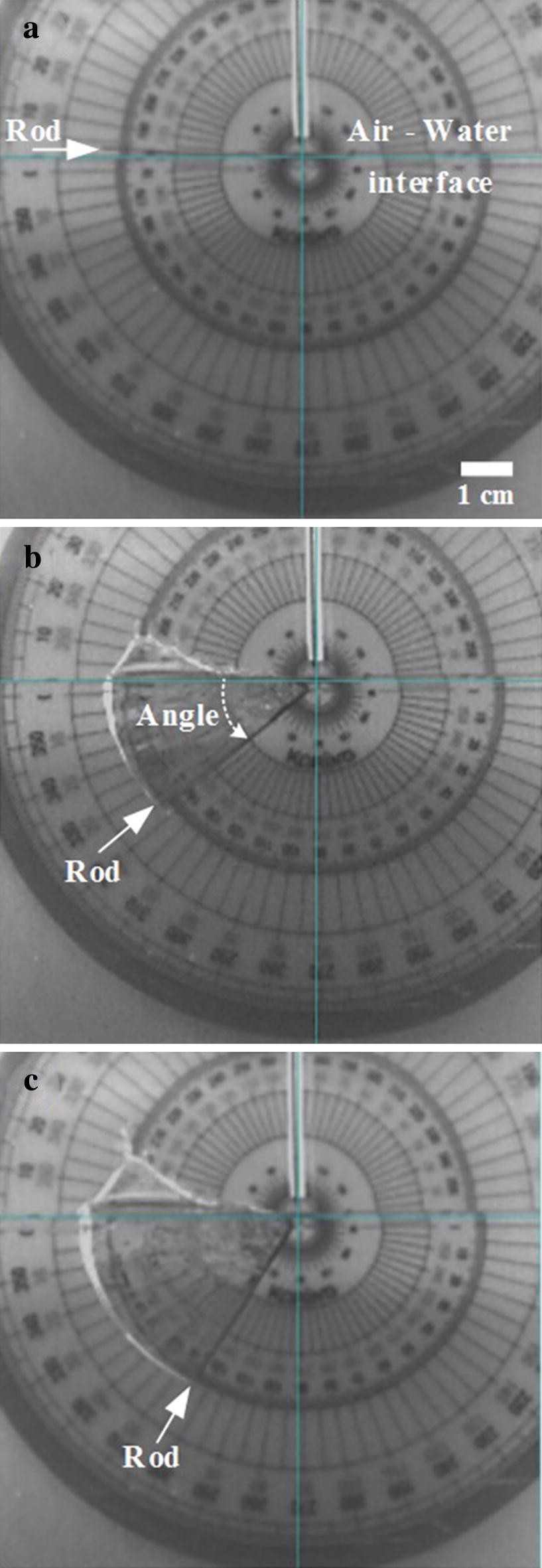 Fig. 3