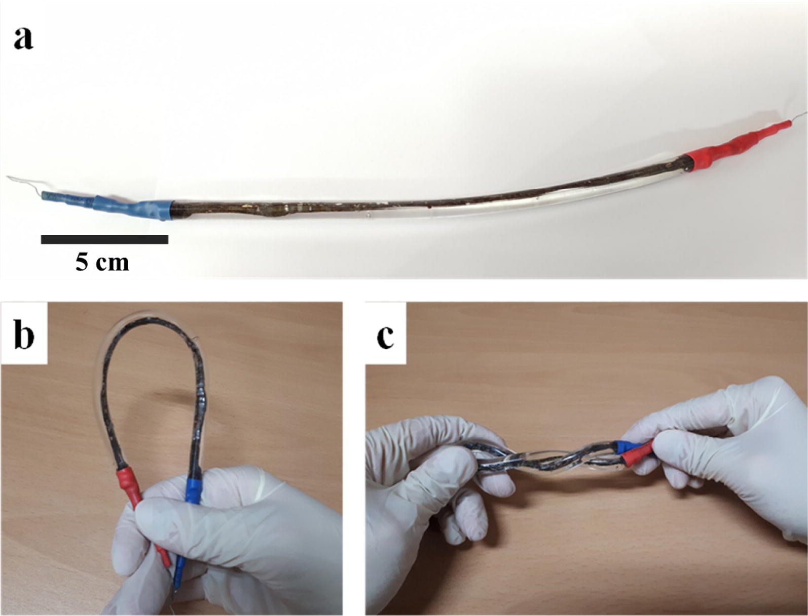 Fig. 3