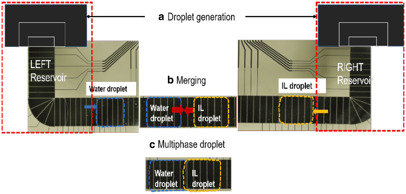 Fig. 4