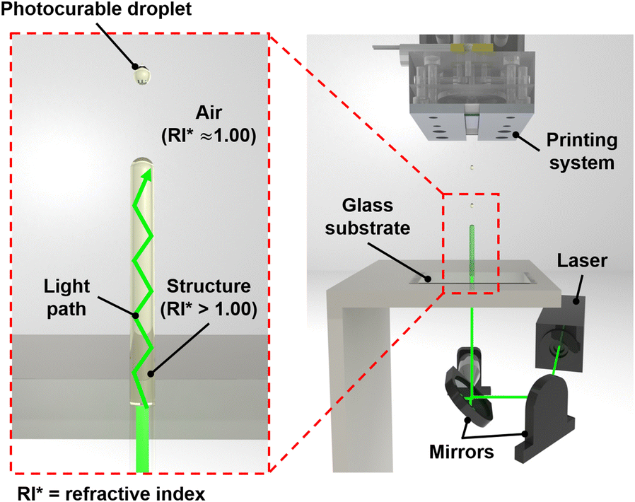 Fig. 1