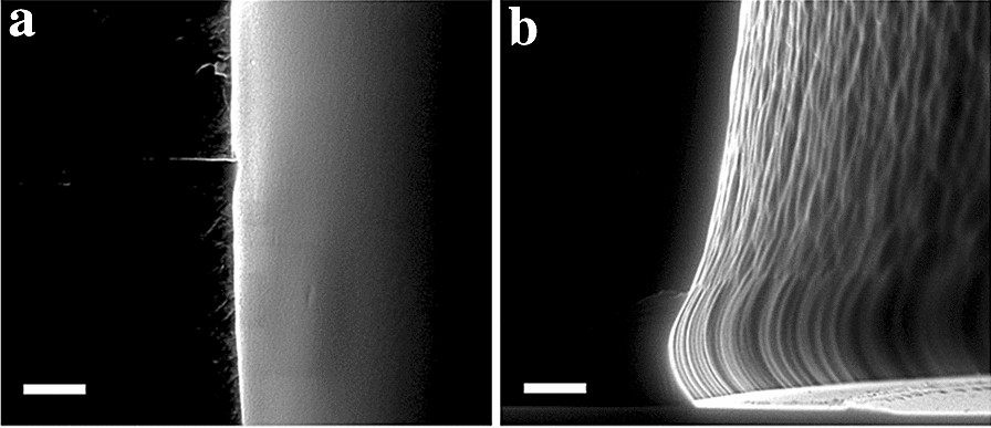 Fig. 6