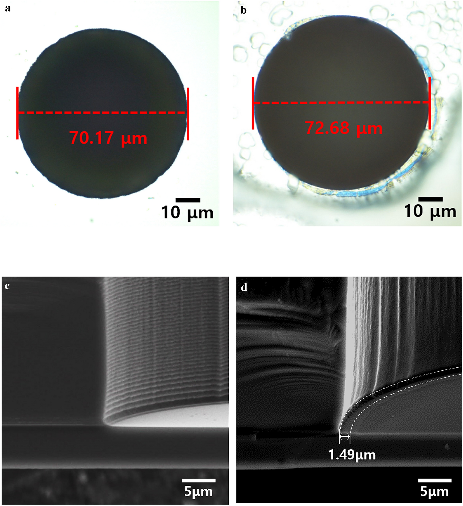 Fig. 7