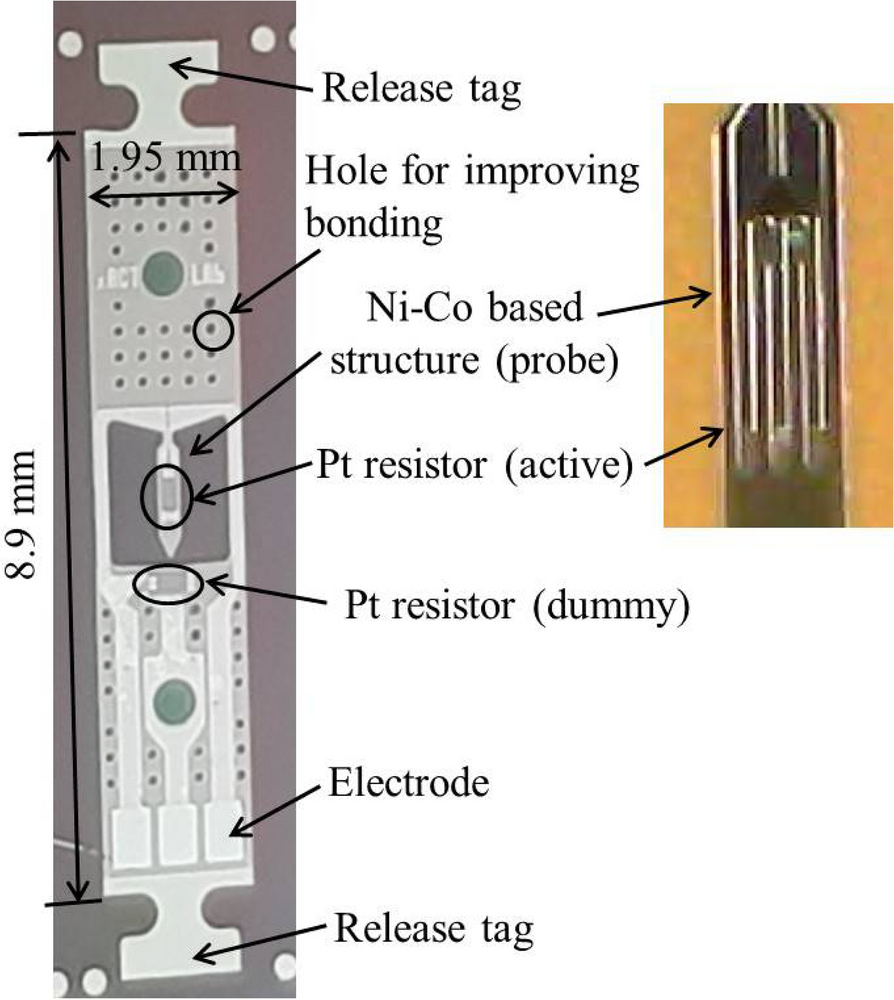 Fig. 12