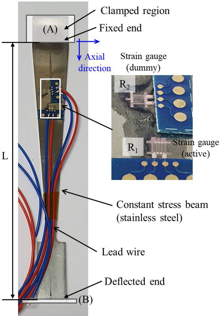 Fig. 7