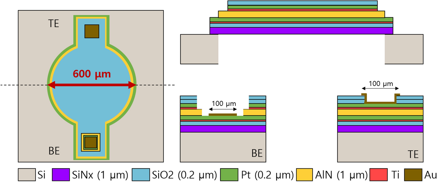 Fig. 1