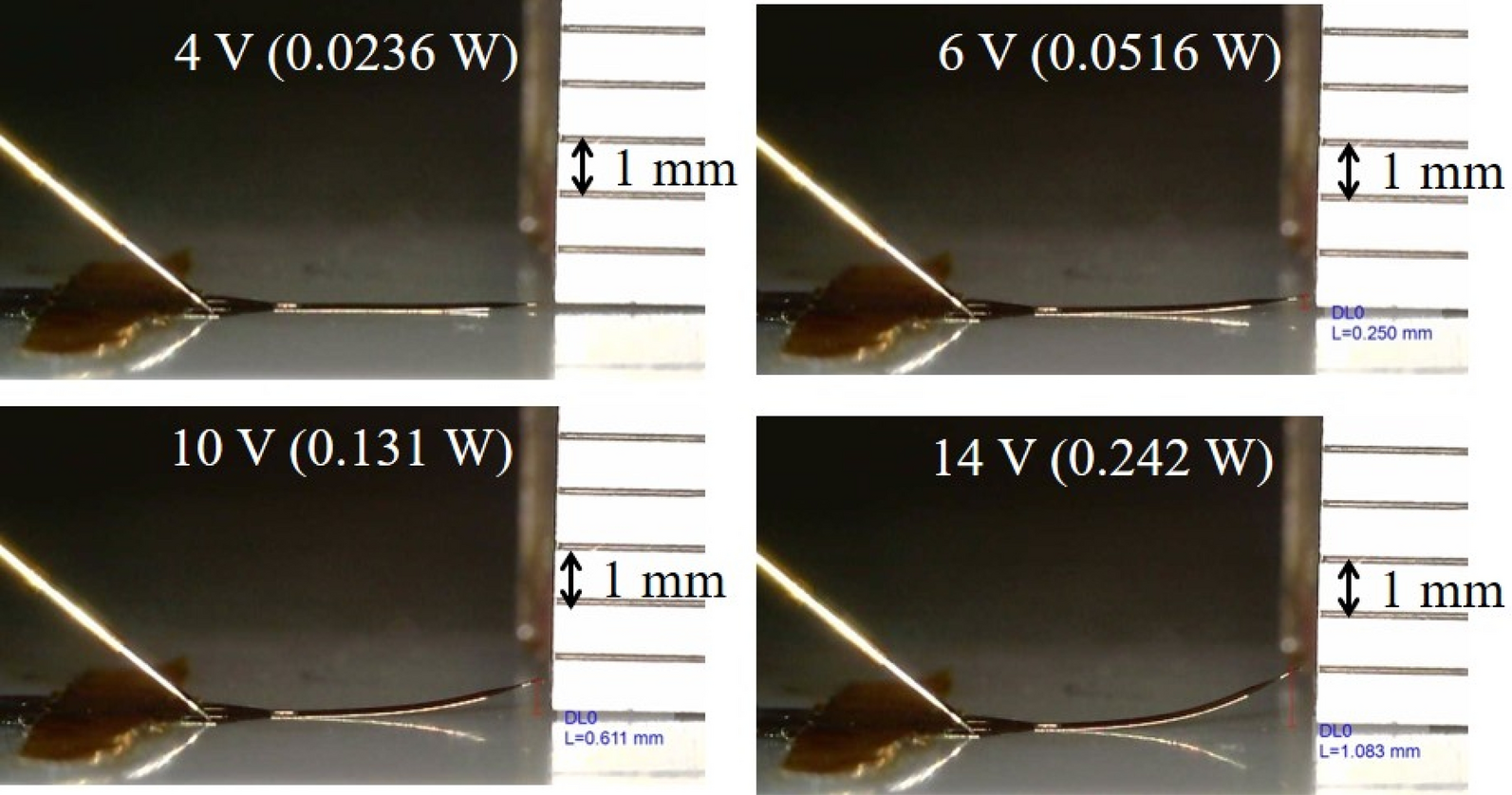 Fig. 12