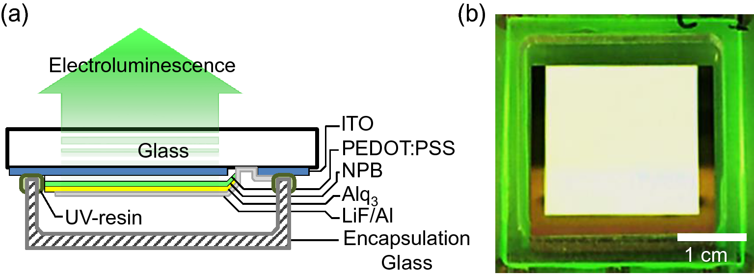 Fig. 8