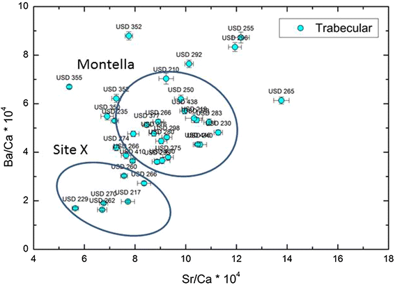 Fig. 10