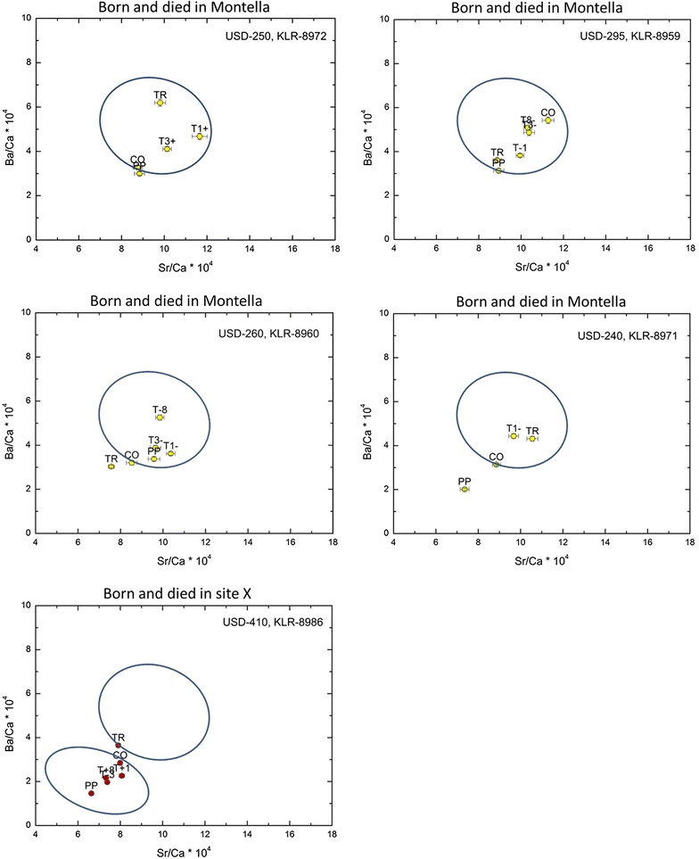 Fig. 11