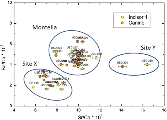 Fig. 8