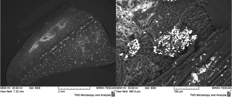 Fig. 7