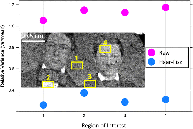 Fig. 8