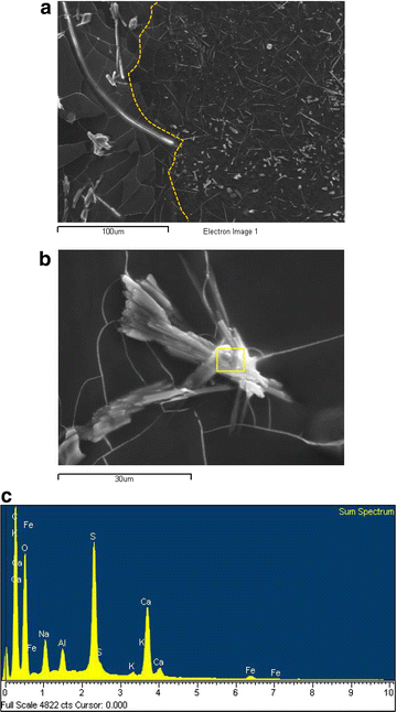 Fig. 5