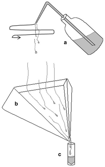 Fig. 7